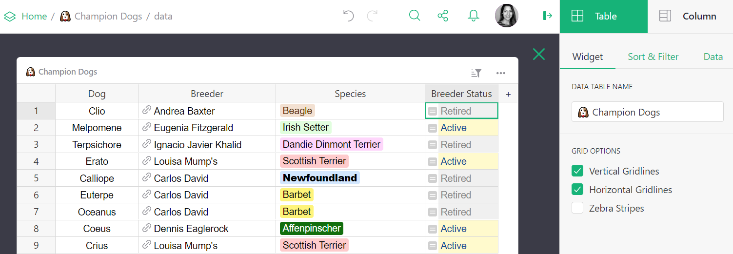 Raw Data View